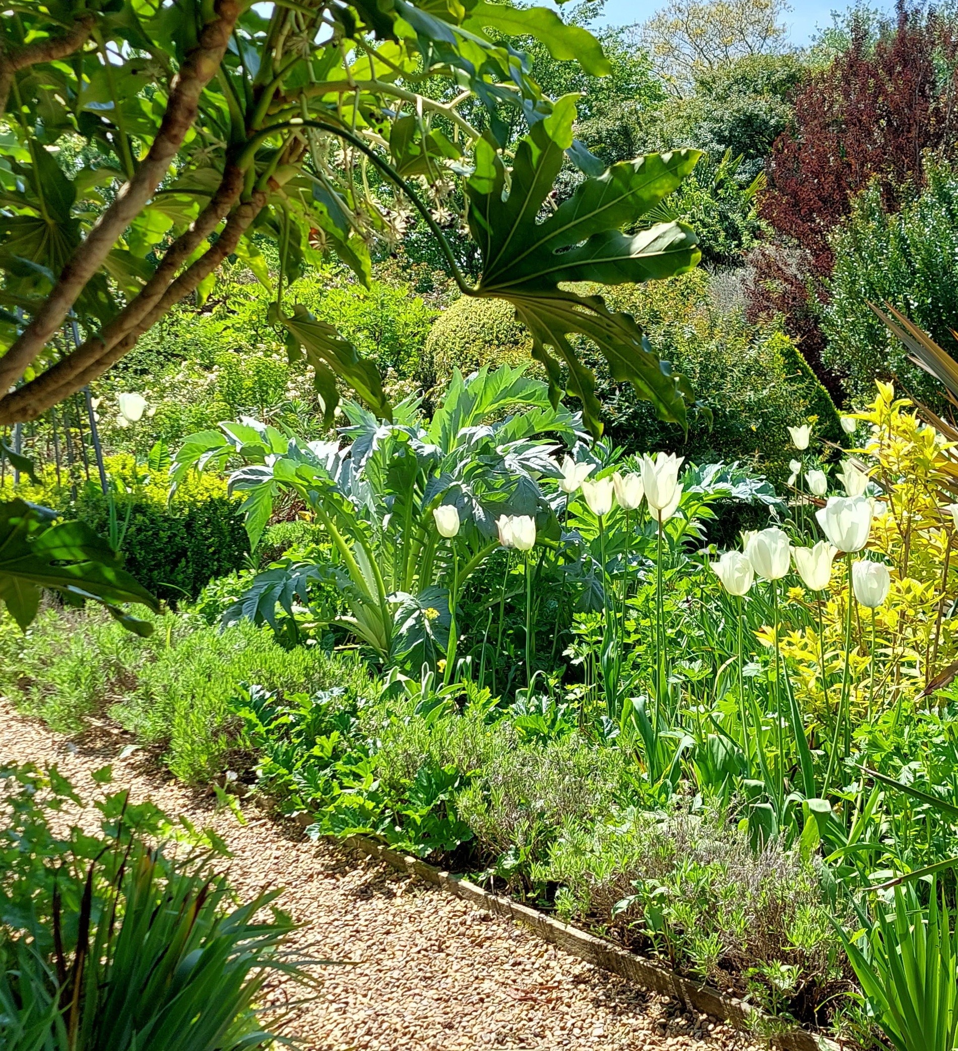 Read more about the article June 2023 – Spring into Summer at Denmans